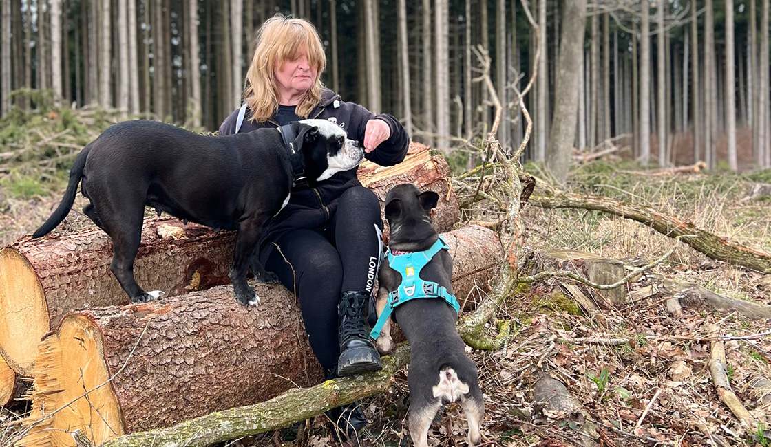 Rosi Buchner Hundeverhaltensberaterin beim Leckerli verteilen